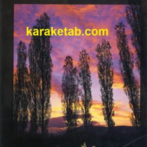 هفت رنگ زندگی