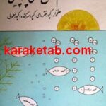 راهنمای کشت توام