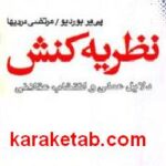 نظریه کنش