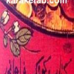 کتاب کوچک فراوانی