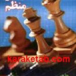 معامله گر منظم
