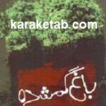 باغ گمشده