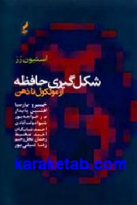 شکل گیری حافظه