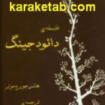 فلسفه ی دائود جینگ