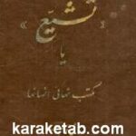 تشیع یا مکتب نهایی انسان ها