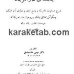 کتاب یکسال در آمریکا