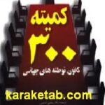 کمیته ۳۰۰