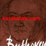 Beethoven: Violin Concerto