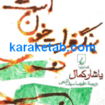 بنگر فرات خون است