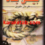 بیلی باد