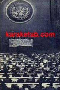 EVERYMAN’S UNITED NATIONS