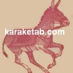 خاطرات یک خر