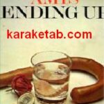 Kingsley Amis Ending Up