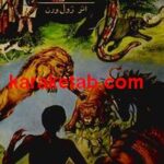 ماجراهای آفریقا