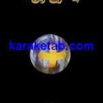 پیشگوی نفرین شده