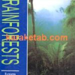 Rain forest