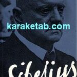 Sibelius Symphony No. 5