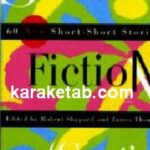 Sudden Fiction Continued
