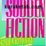 Sudden Fiction International