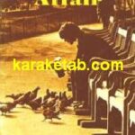 The hair affair
