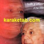 گزیده ی آثار بزرگ علوی