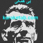 بی همگی