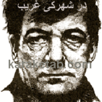 در شهرکی غریب