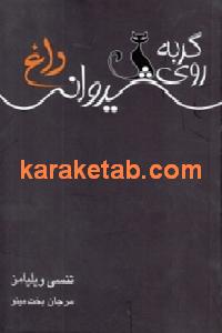 گربه روی شیروانی داغ