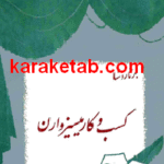کسب و کار میسیز وارن