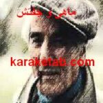 ماهی و جفتش
