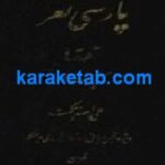 پارسی نغز