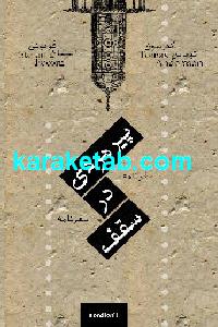 پیرمردی در سقف