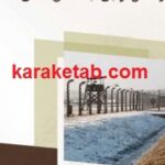 راه حل نهایی یک نسل کشی