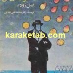 دارایی خانوادۀ روگن