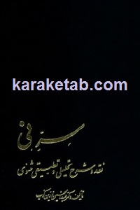 سر نی