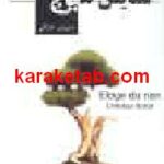 ستایش هیچ