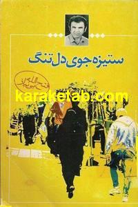 ستیزه جوی دلتنگ