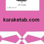 صیغه