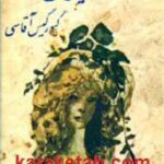 ژویزل