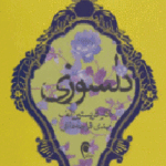 دلسوزی
