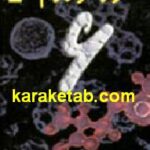 کروموزم