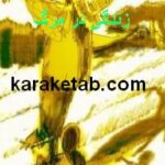 زندگی در مرگ
