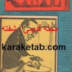مجله آشفته
