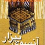 آنسوی نیزار