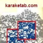 احزاب سیاسی در مجلس سوم