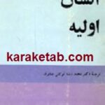 انسان اولیه