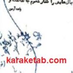 بال هایش را کنار شعرم جا گذاشت و رفت