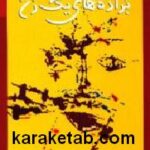 براده های یک زن