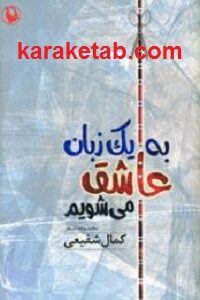 به یک زبان عاشق می شویم