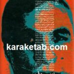 بی ستون